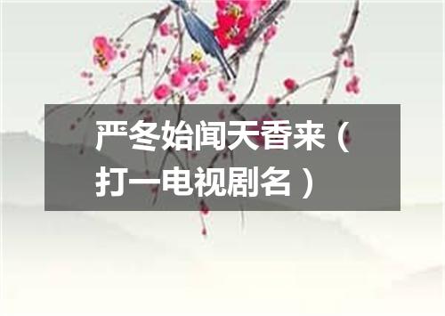 严冬始闻天香来（打一电视剧名）