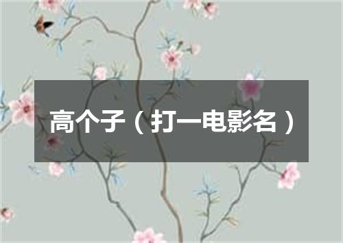高个子（打一电影名）