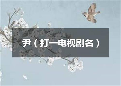 尹（打一电视剧名）