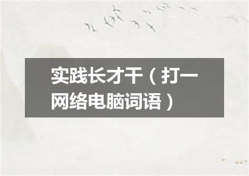 实践长才干（打一网络电脑词语）