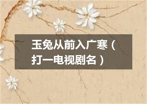 玉兔从前入广寒（打一电视剧名）