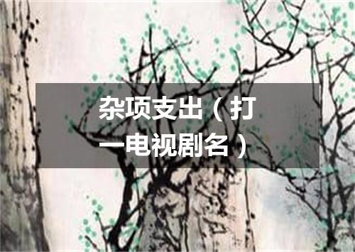 杂项支出（打一电视剧名）