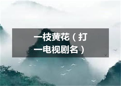 一枝黄花（打一电视剧名）