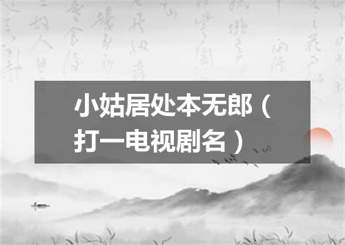 小姑居处本无郎（打一电视剧名）