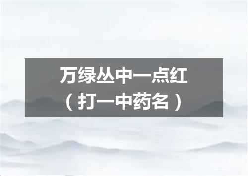 万绿丛中一点红（打一中药名）