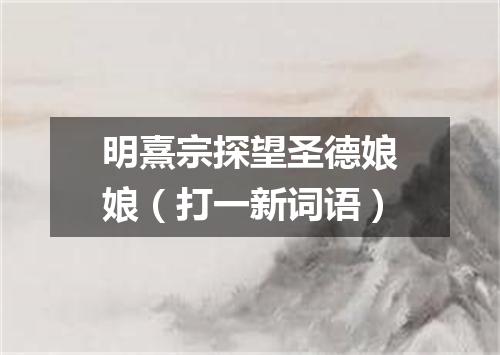 明熹宗探望圣德娘娘（打一新词语）