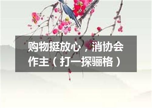 购物挺放心，消协会作主（打一探骊格）