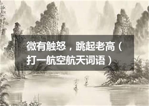 微有触怒，跳起老高（打一航空航天词语）