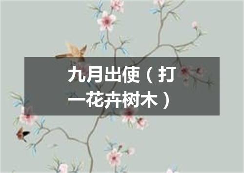 九月出使（打一花卉树木）