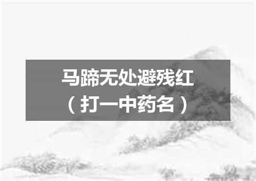 马蹄无处避残红（打一中药名）