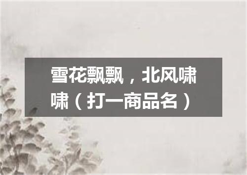 雪花飘飘，北风啸啸（打一商品名）
