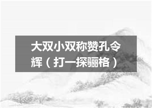 大双小双称赞孔令辉（打一探骊格）