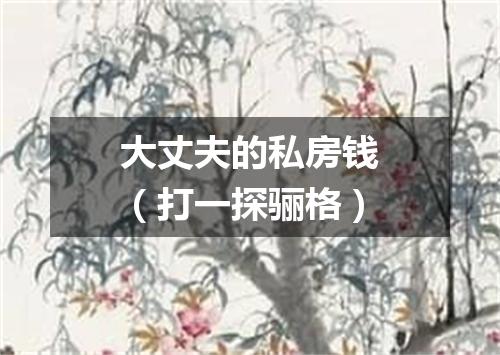 大丈夫的私房钱（打一探骊格）