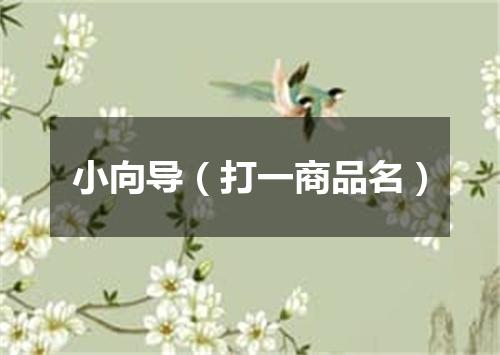 小向导（打一商品名）