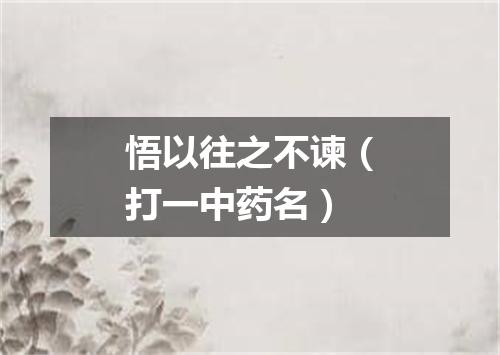悟以往之不谏（打一中药名）