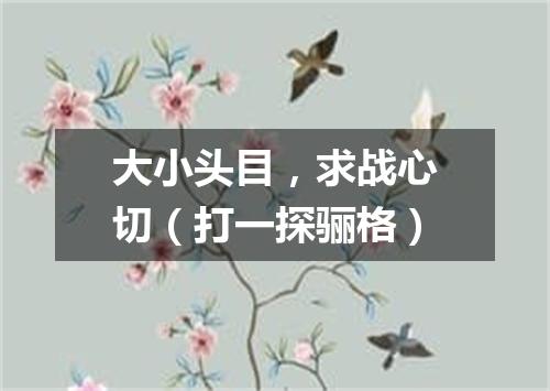 大小头目，求战心切（打一探骊格）