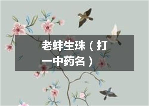 老蚌生珠（打一中药名）