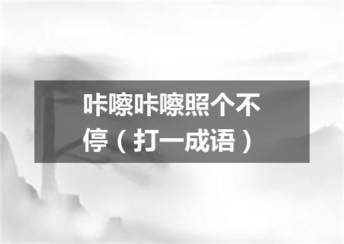咔嚓咔嚓照个不停（打一成语）
