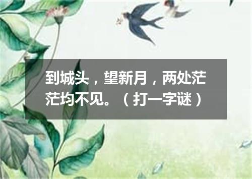 到城头，望新月，两处茫茫均不见。（打一字谜）