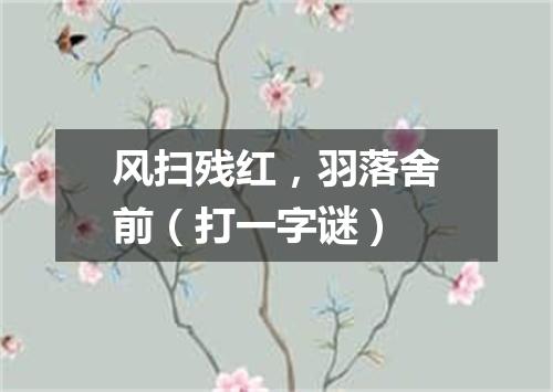 风扫残红，羽落舍前（打一字谜）