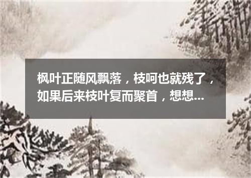 枫叶正随风飘落，枝呵也就残了，如果后来枝叶复而聚首，想想有点傻了（打一字谜）
