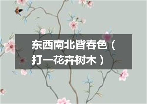 东西南北皆春色（打一花卉树木）