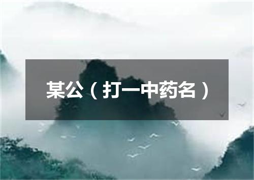 某公（打一中药名）