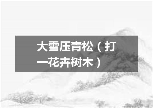 大雪压青松（打一花卉树木）