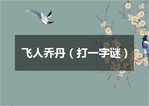 飞人乔丹（打一字谜）