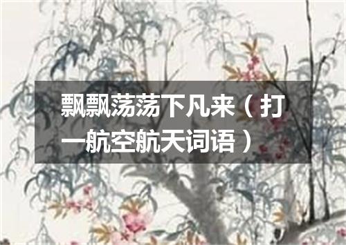 飘飘荡荡下凡来（打一航空航天词语）