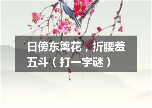 日傍东篱花，折腰羞五斗（打一字谜）