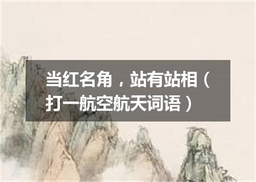 当红名角，站有站相（打一航空航天词语）