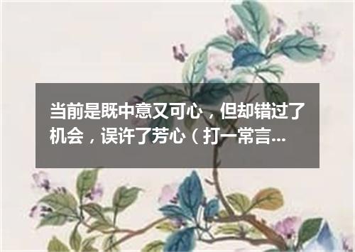 当前是既中意又可心，但却错过了机会，误许了芳心（打一常言俗语）