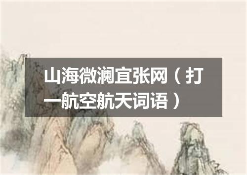 山海微澜宜张网（打一航空航天词语）