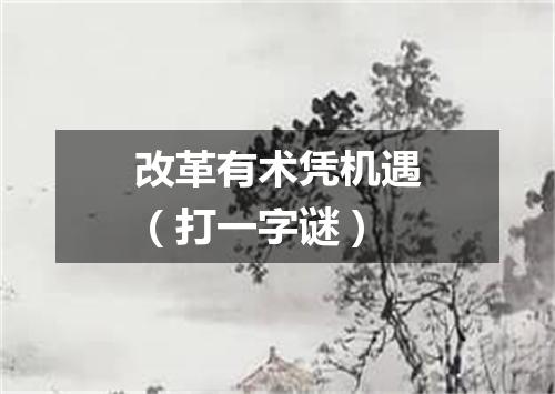 改革有术凭机遇（打一字谜）