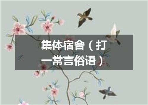 集体宿舍（打一常言俗语）