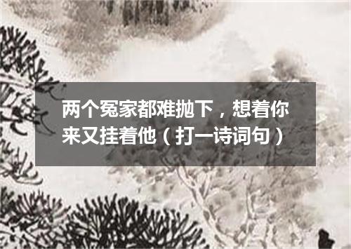 两个冤家都难抛下，想着你来又挂着他（打一诗词句）