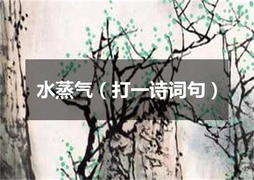 水蒸气（打一诗词句）