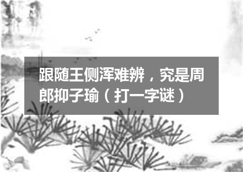跟随王侧浑难辨，究是周郎抑子瑜（打一字谜）