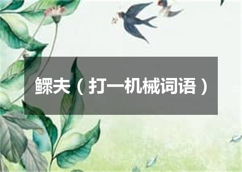 鳏夫（打一机械词语）