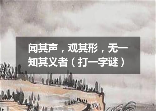 闻其声，观其形，无一知其义者（打一字谜）