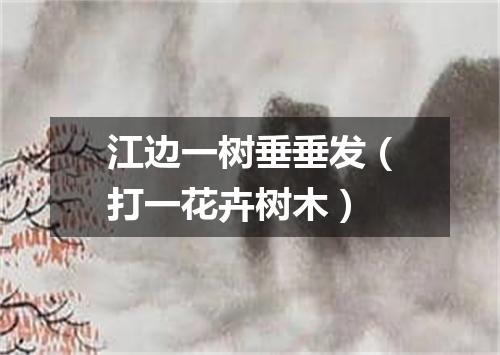 江边一树垂垂发（打一花卉树木）