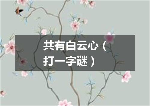 共有白云心（打一字谜）