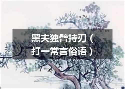 黑夫独臂持刃（打一常言俗语）