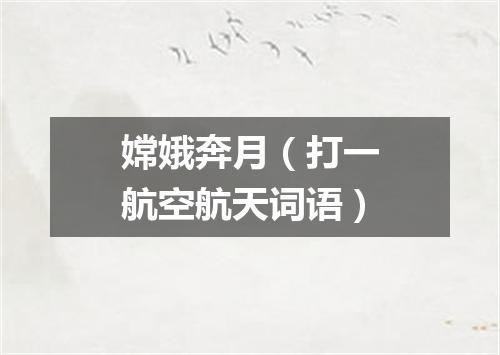 嫦娥奔月（打一航空航天词语）