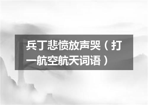 兵丁悲愤放声哭（打一航空航天词语）