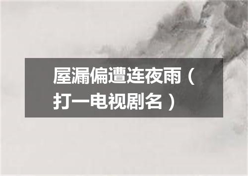 屋漏偏遭连夜雨（打一电视剧名）