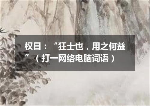 权曰：“狂士也，用之何益”（打一网络电脑词语）