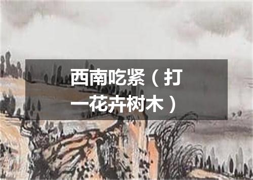 西南吃紧（打一花卉树木）