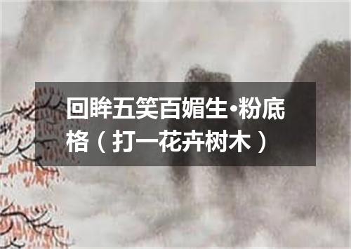 回眸五笑百媚生·粉底格（打一花卉树木）